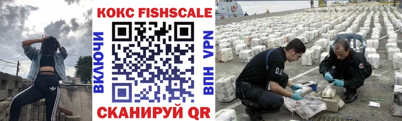 Кокаин FishScale  наркотики  Шенкурск 