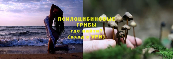 эйфоретик Медногорск
