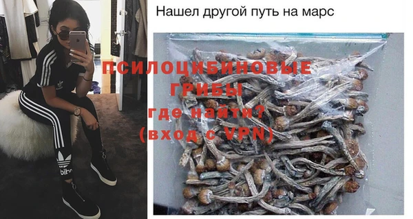 гидропоника Каменногорск