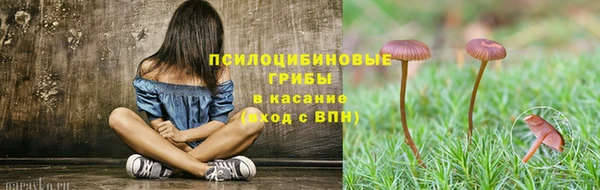 эйфоретик Медногорск