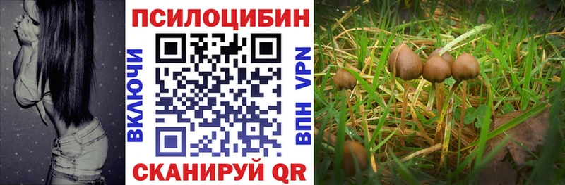 Галлюциногенные грибы Psilocybine cubensis  магазин  наркотиков  MEGA сайт  Шенкурск 
